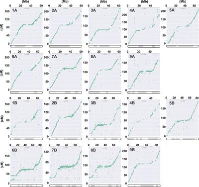 Chromosome-level genome assemblies for two quinoa inbred lines from northern and southern highlands of Altiplano where quinoa originated